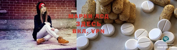 стаф Магадан