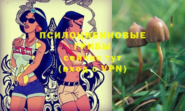 стаф Магадан