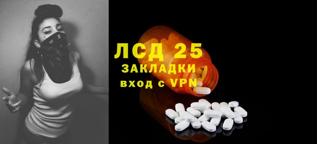стаф Магадан