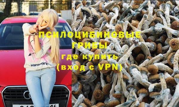 стаф Магадан