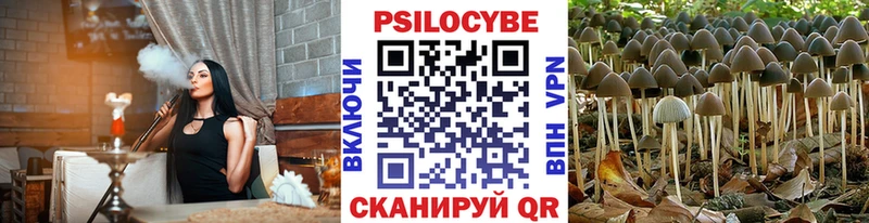 где можно купить   Магадан  Галлюциногенные грибы мухоморы 