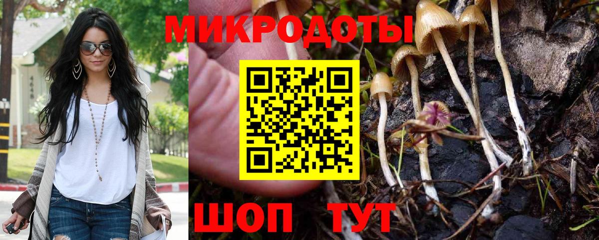 Магадан  Псилоцибиновые грибы мицелий  Вход с VPN  продажа наркотиков  Галлюциногенные грибы GOLDEN TEACHER 