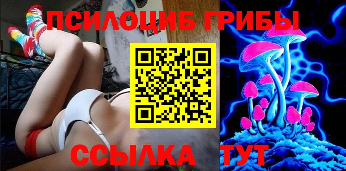 Галлюциногенные грибы GOLDEN TEACHER Магадан