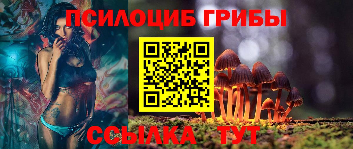 Галлюциногенные грибы Cubensis Магадан