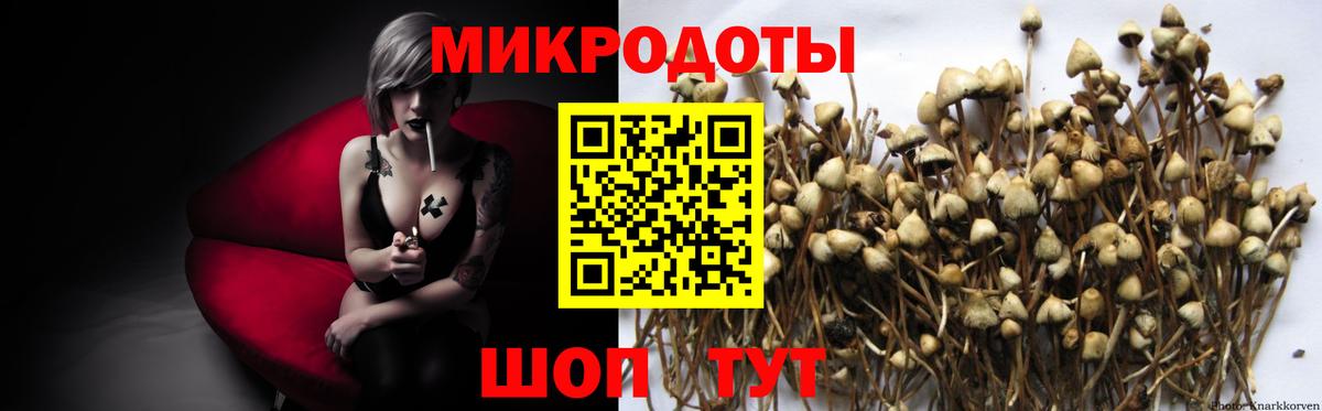 Псилоцибиновые грибы мицелий  Магадан 